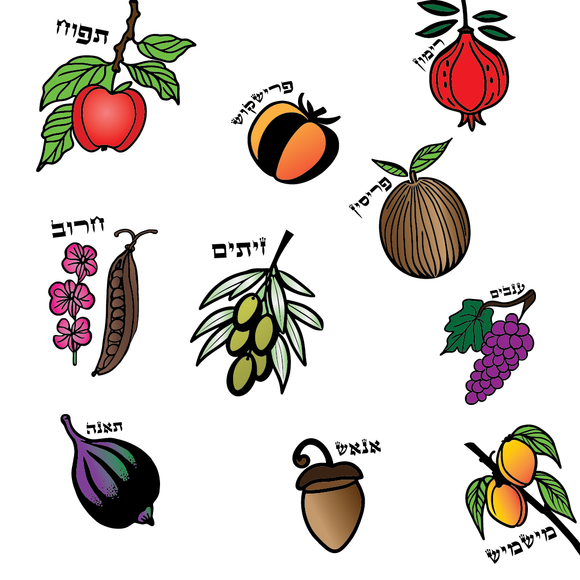 The Tu Bishvat Seder